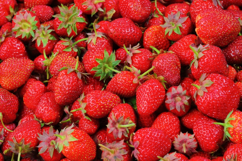 primeur-BERRE LES ALPES-min_strawberries-528791